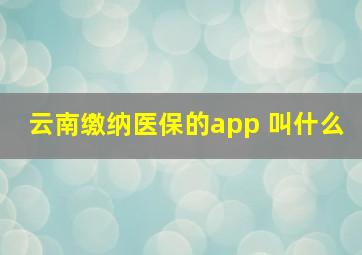 云南缴纳医保的app 叫什么